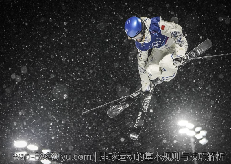 排球运动的基本规则与技巧解析