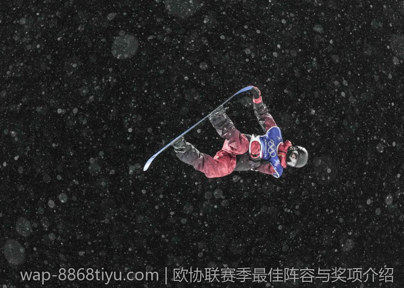欧协联赛季最佳阵容与奖项介绍