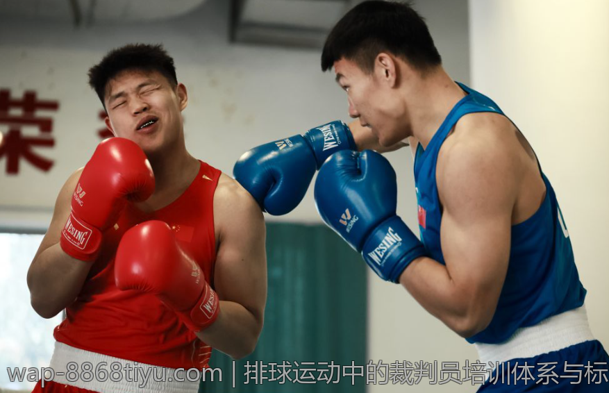 排球运动中的裁判员培训体系与标准提升措施